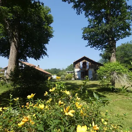 Tatil Evi Bassibe